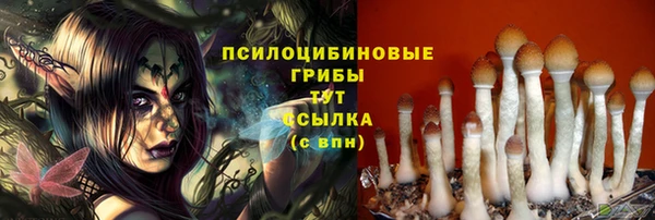 ECSTASY Верхний Тагил